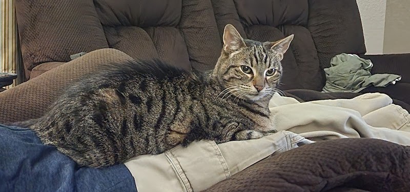 Wine Country Veterinary Hospital photo 4