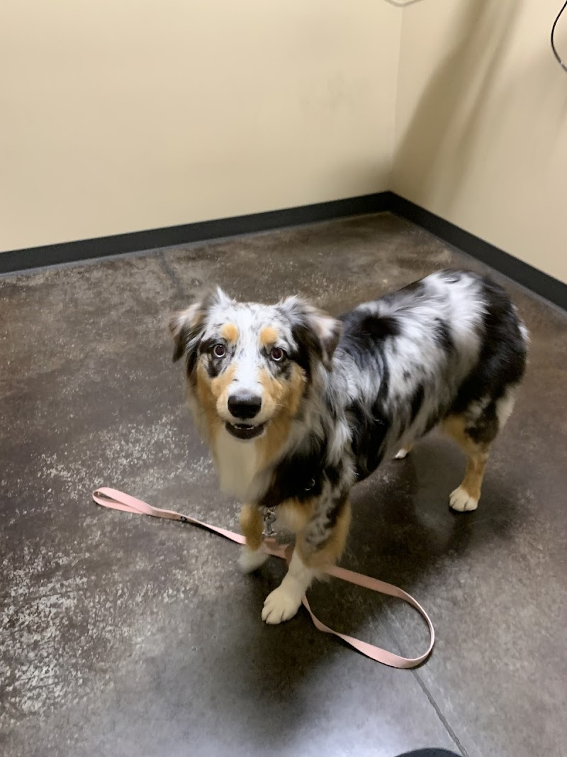 Wine Country Veterinary Hospital photo 5