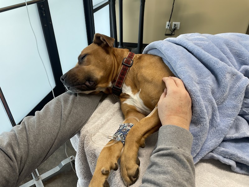 Wine Country Veterinary Hospital photo 3