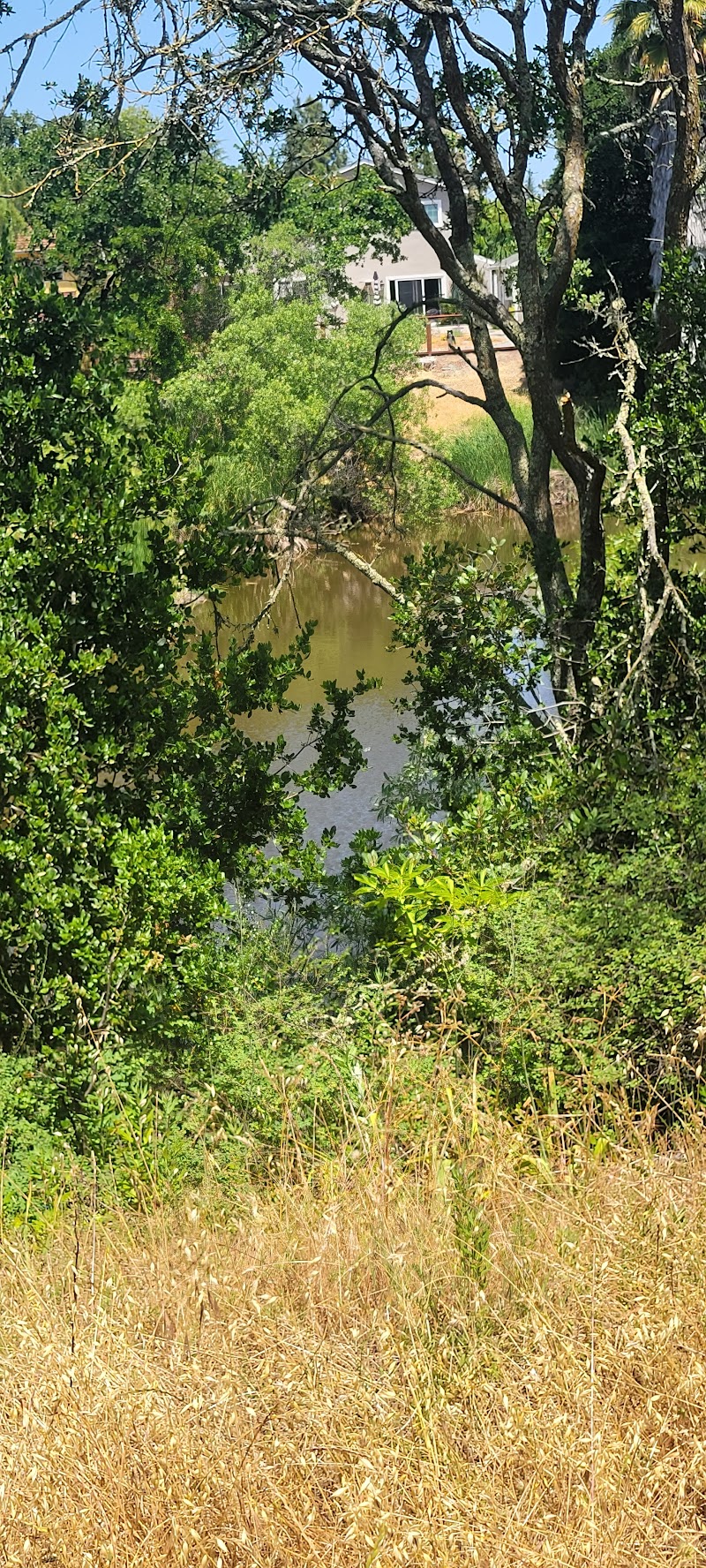 Photo of Spring Lake