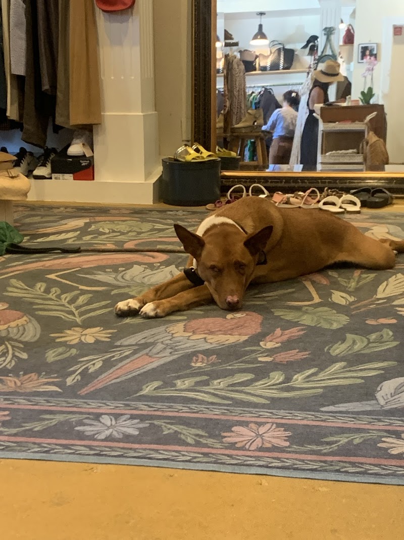 Stella's Consignment photo 2