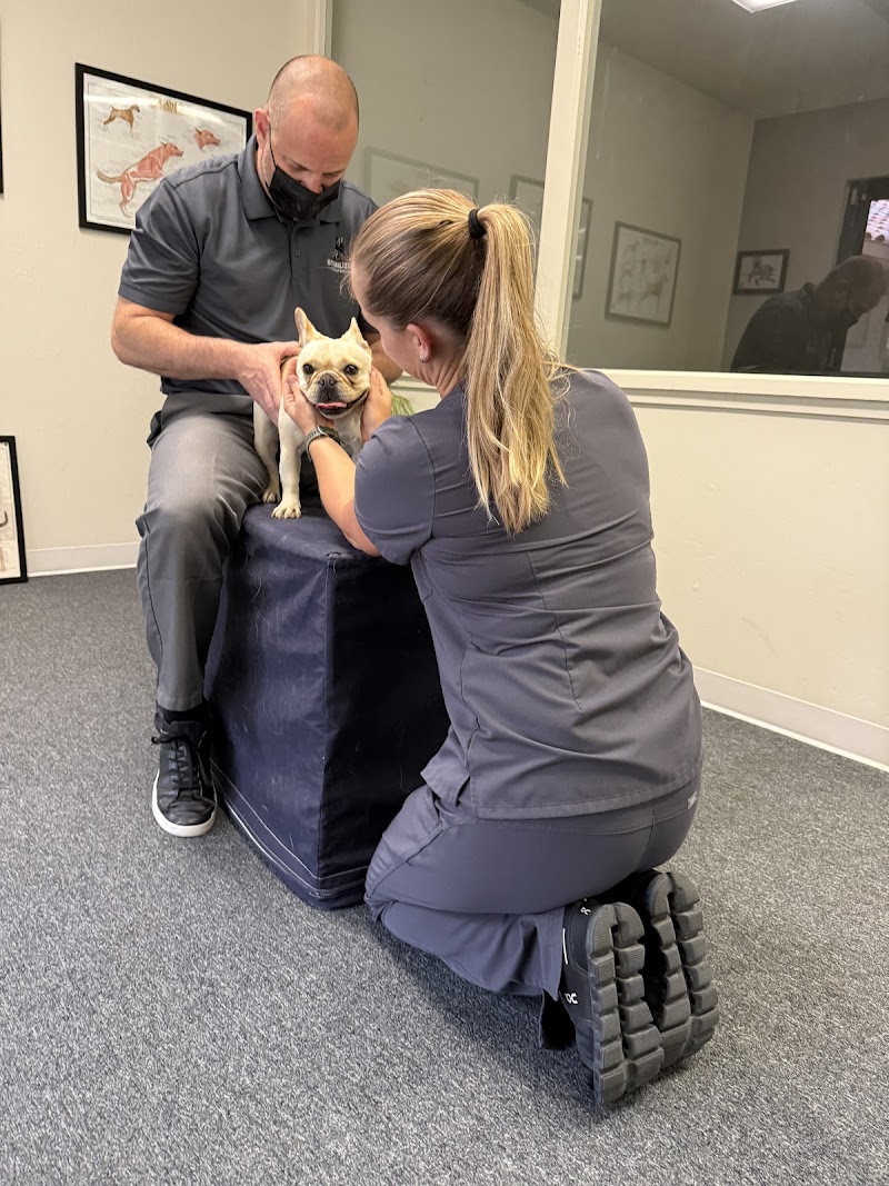 Stabilized Chiropractic photo 3