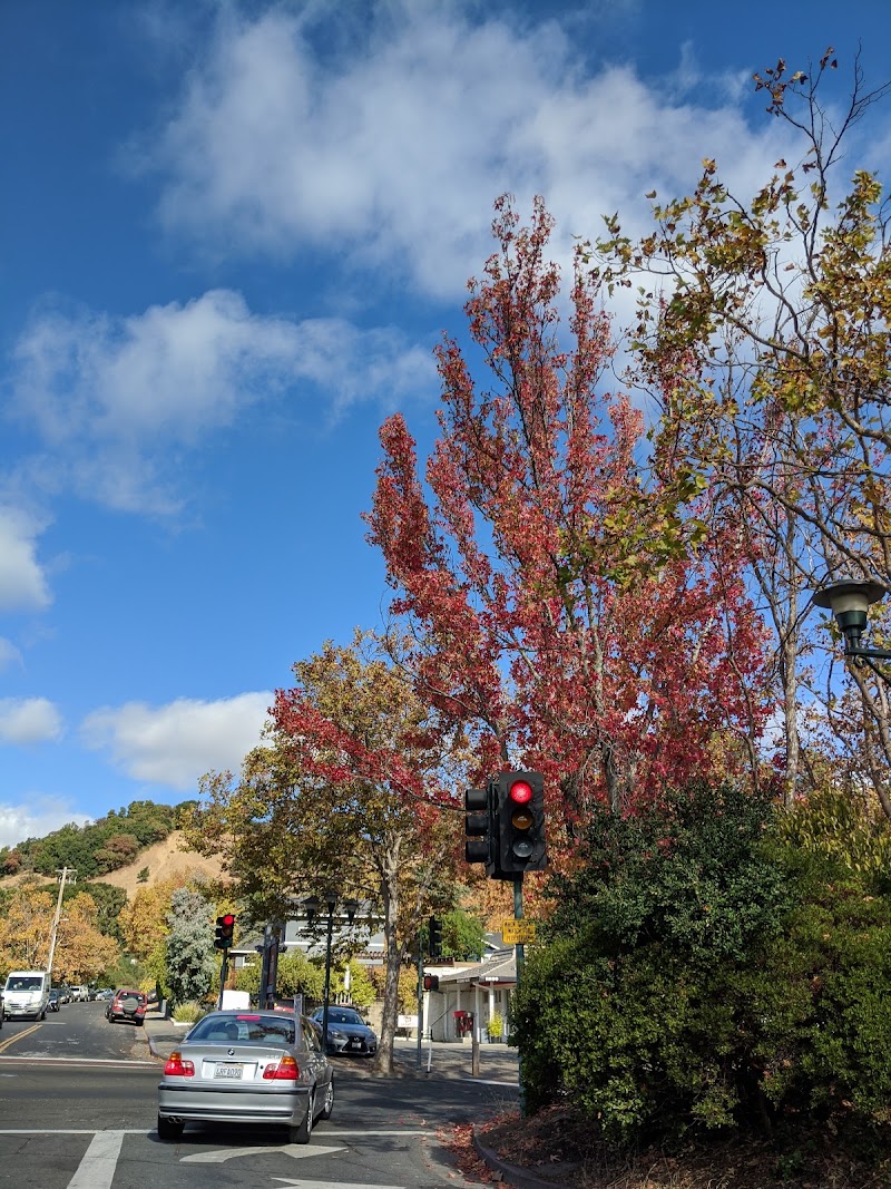 Sir Francis Drake Blvd & Claus Dr photo 4