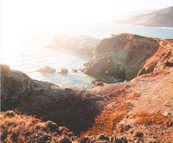Photo of Dr. Rebekah Lewis