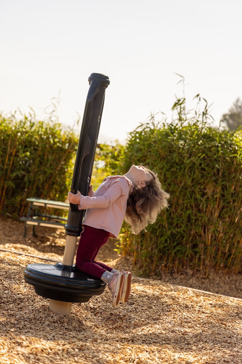 Marin Montessori School photo 4