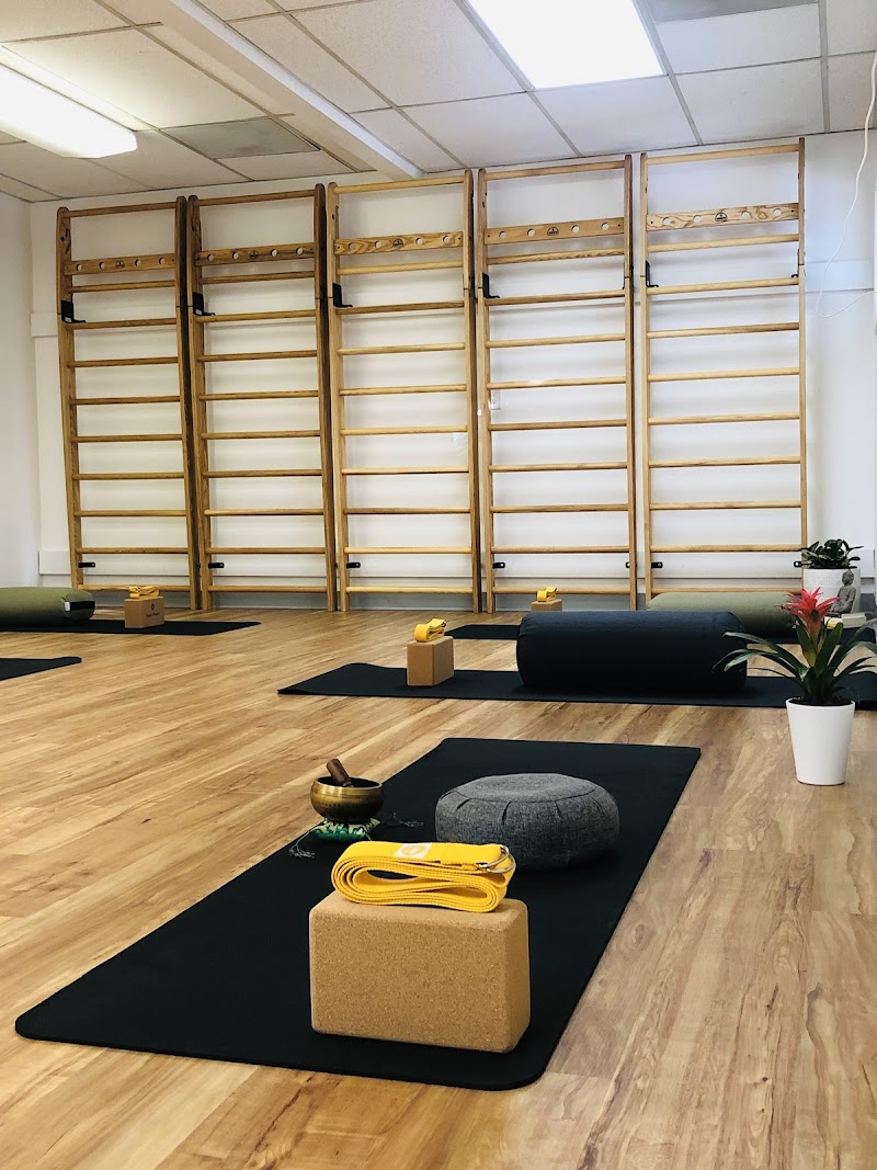 Mount Diablo Yoga Center photo 2