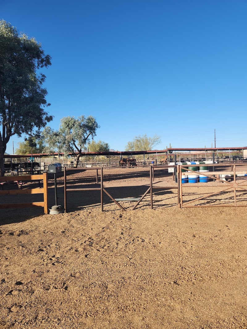 Circle C Stables photo 4
