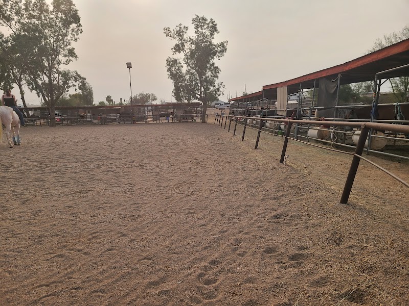 Circle C Stables photo 5