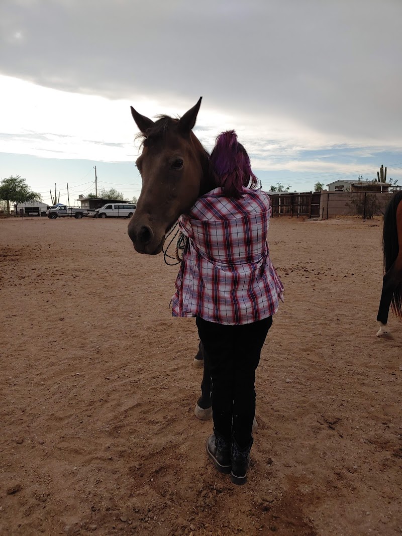 Photo of Circle C Stables