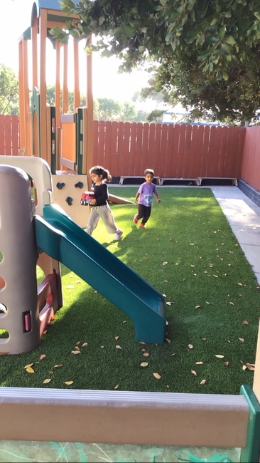 Little Stars Montessori Preschool photo 2