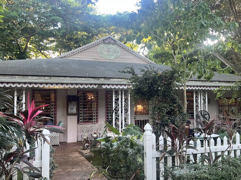 Tea Room Miami at Cauley Square photo 4