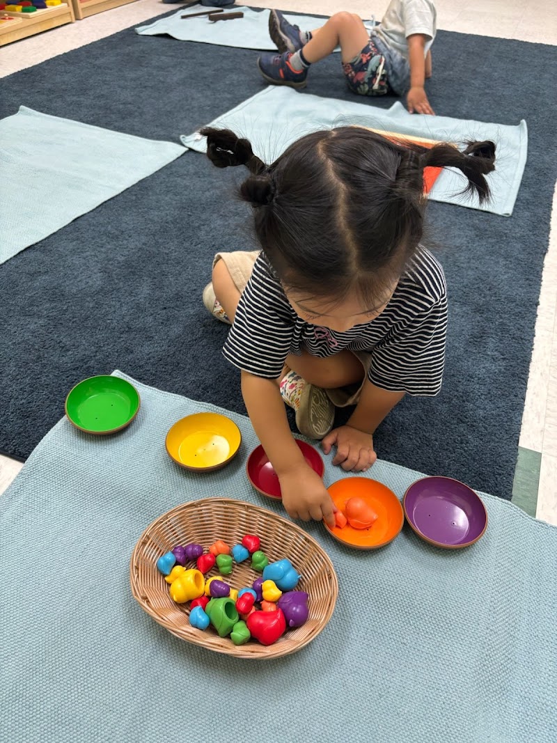 Learn and Play® Montessori School & Child Care San Carlos photo 3