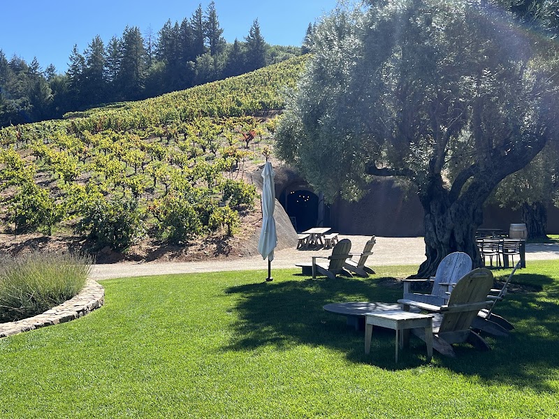 Bella Vineyards & Wine Caves photo 4