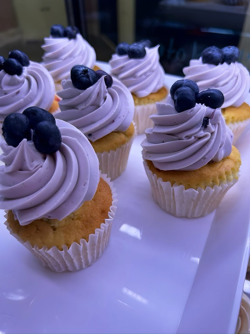 Tampa Bay Cake Company photo 5