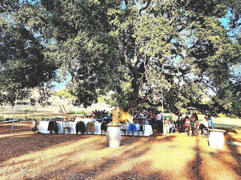 Beffa Springs Ranch photo 4