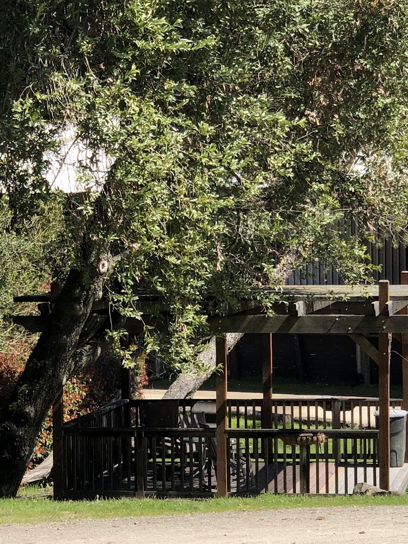 Baywood Equestrian Center photo 5