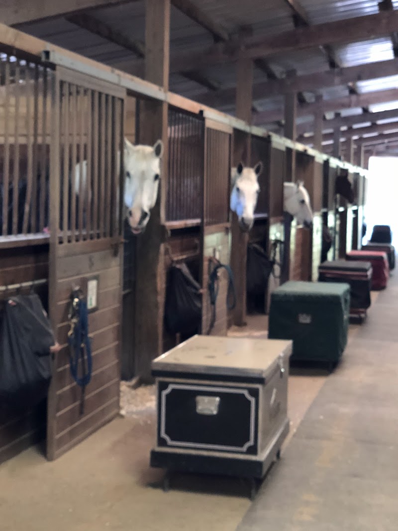 Baywood Equestrian Center photo 3