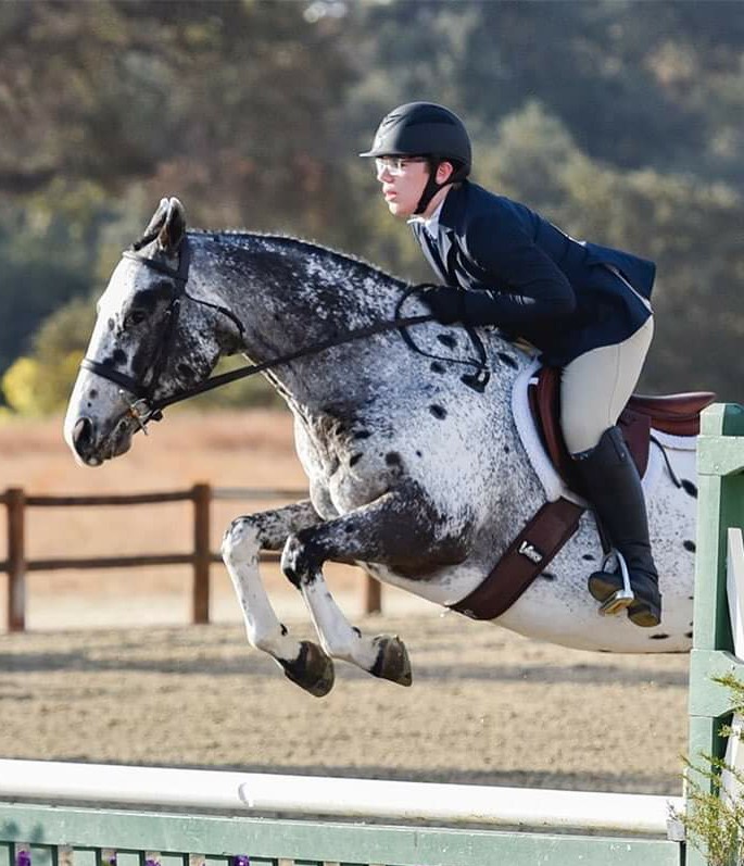 Baywood Equestrian Center photo 2