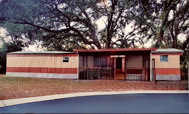 Photo of Countryside Tampa