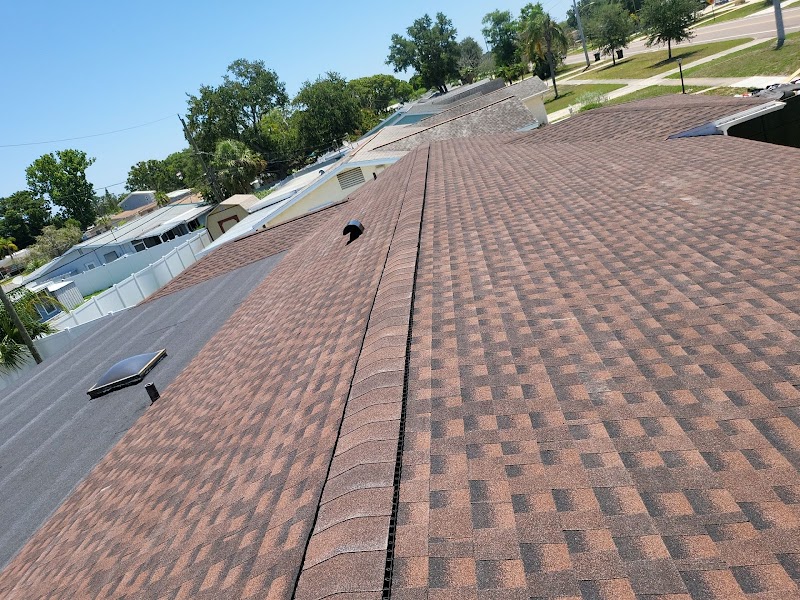 Sun Coast Roofing & Solar photo 2