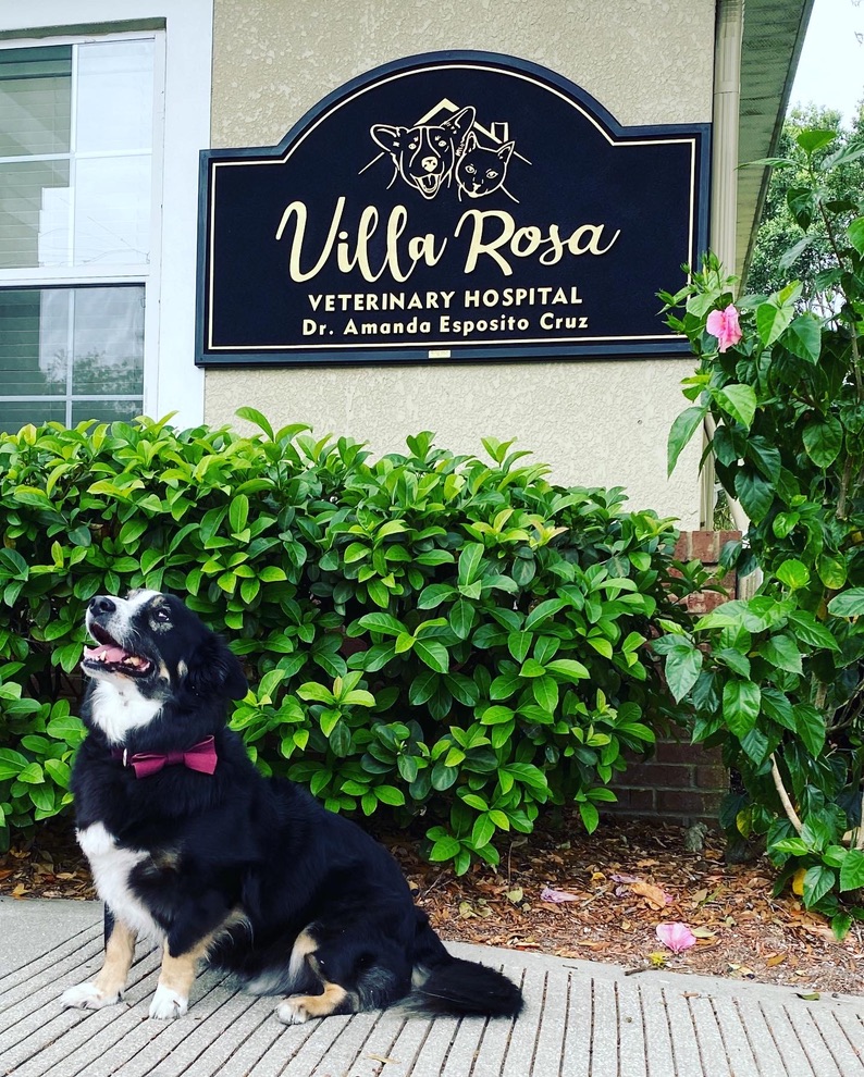 Villa Rosa Veterinary Hospital photo 4