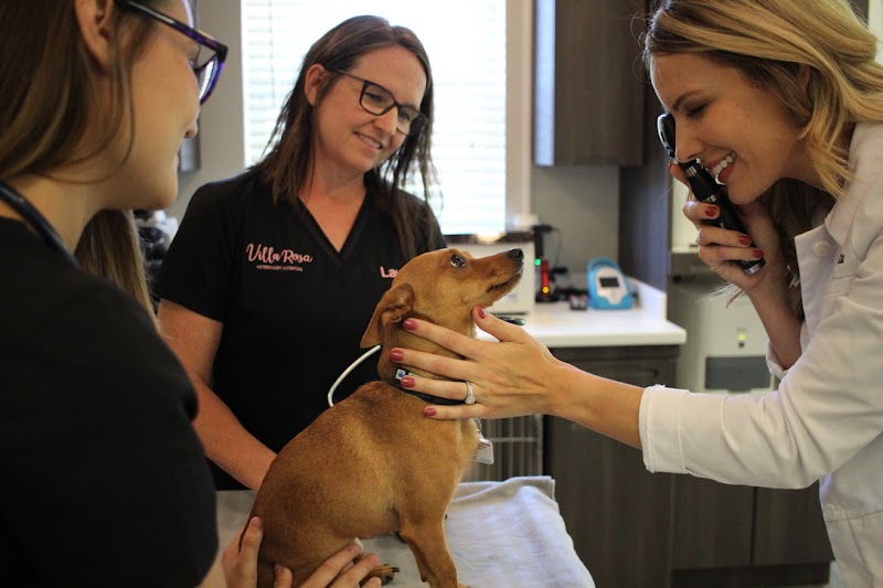 Villa Rosa Veterinary Hospital photo 5