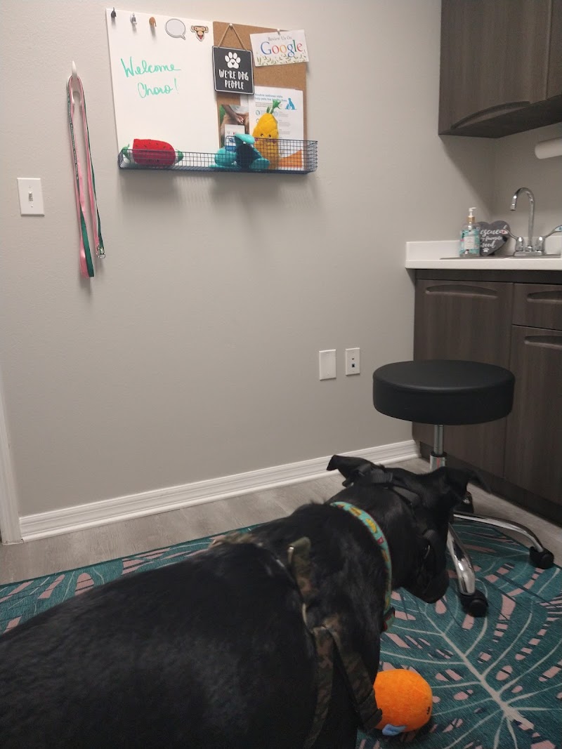 Villa Rosa Veterinary Hospital photo 3