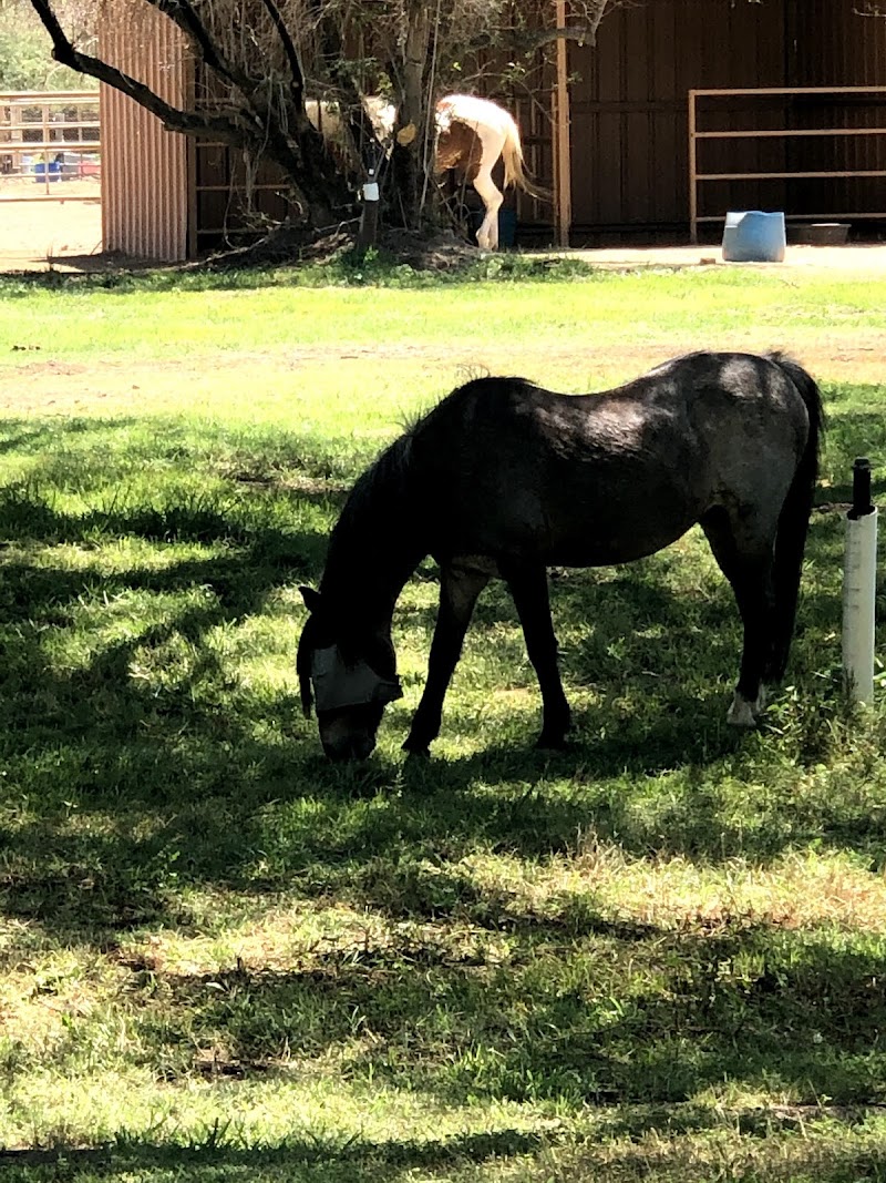 Stonegate Ranch photo 4