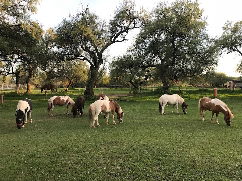 Photo of Stonegate Ranch