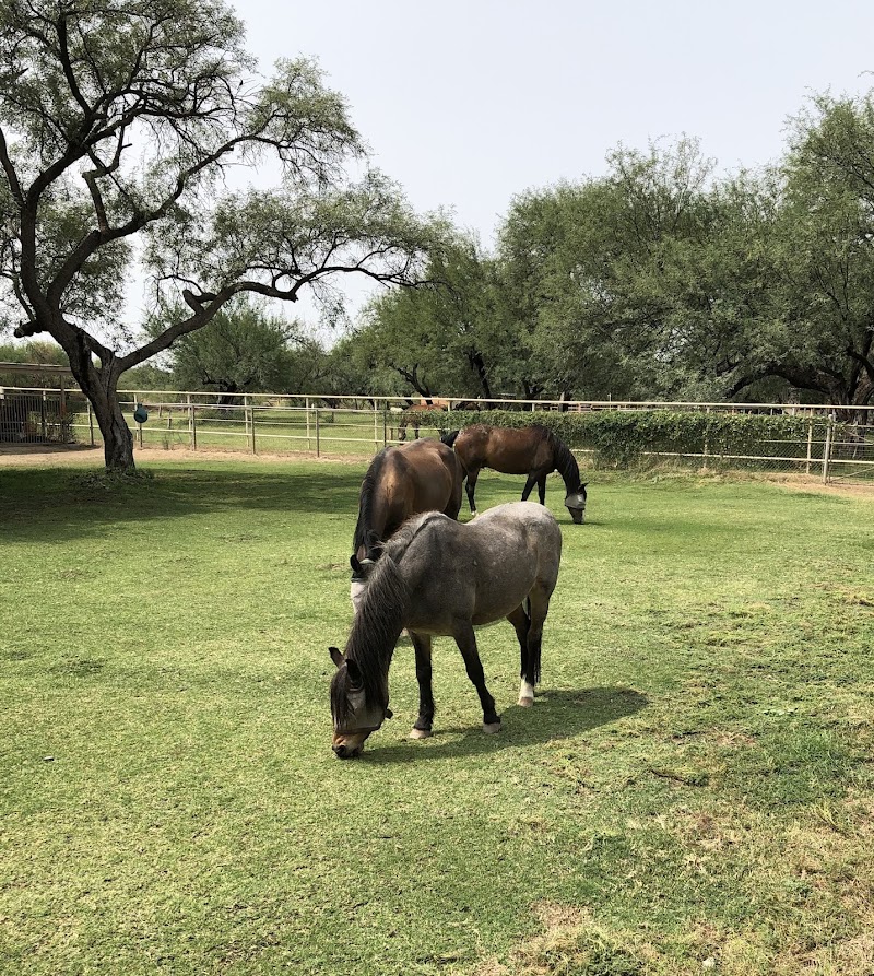 Stonegate Ranch photo 2