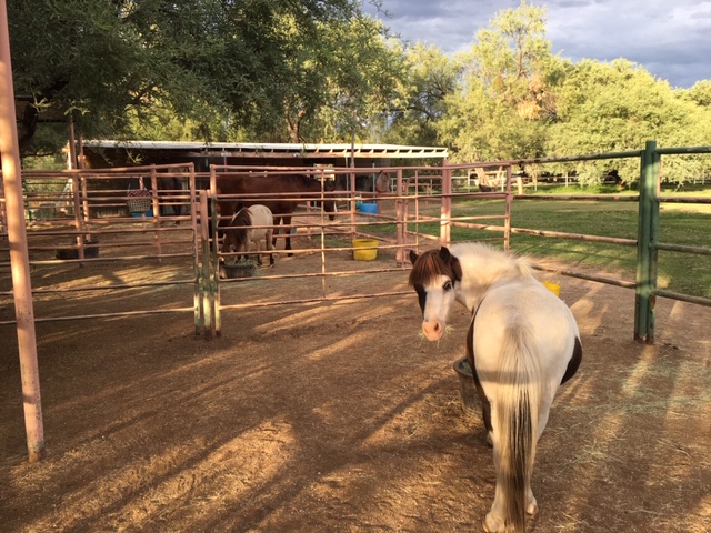 Stonegate Ranch photo 5