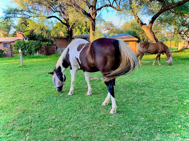 Stonegate Ranch photo 3