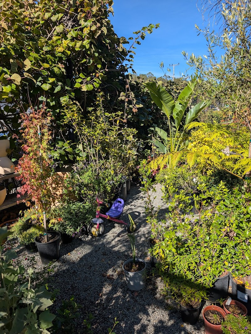 Green Jeans Garden Supply photo 5