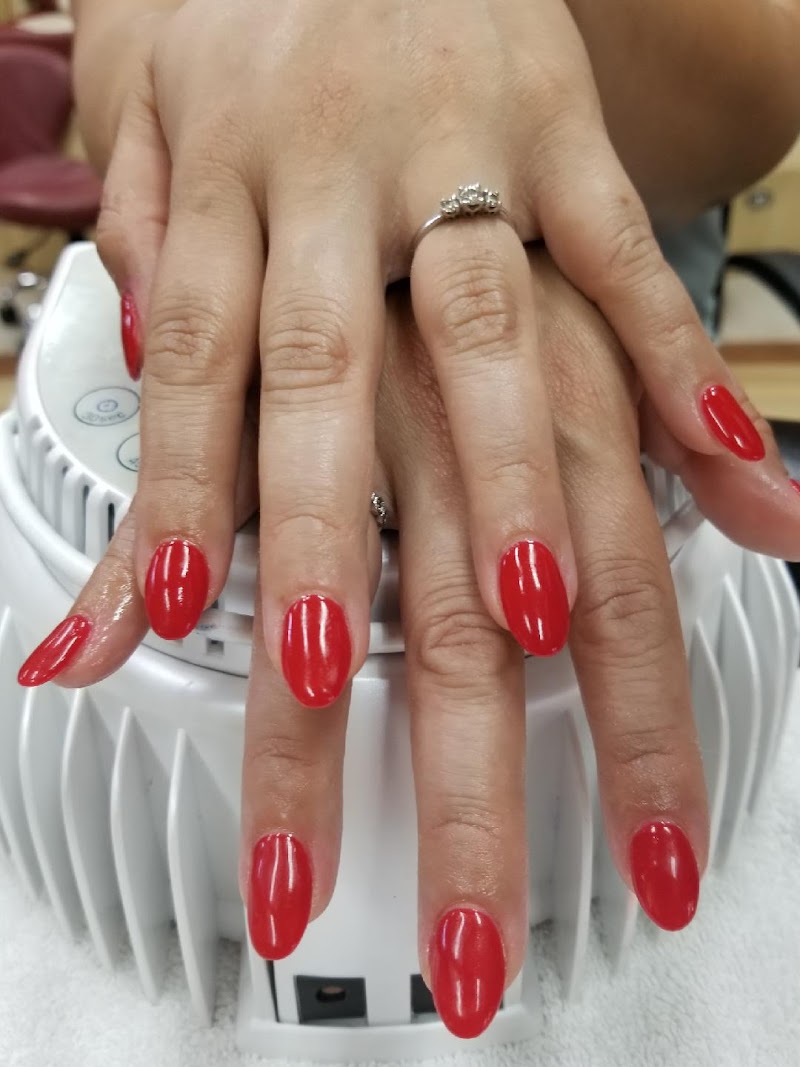 Belmont Beauty Salon photo 5