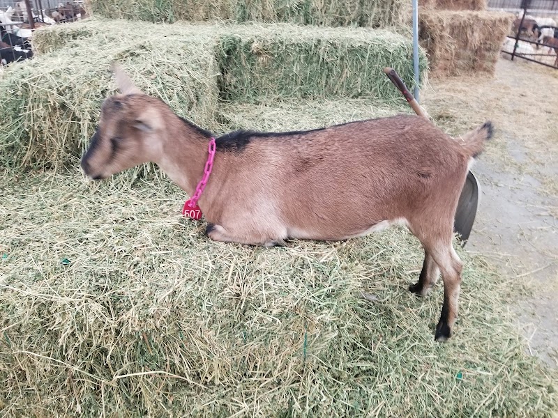 Photo of SkyHill Farm