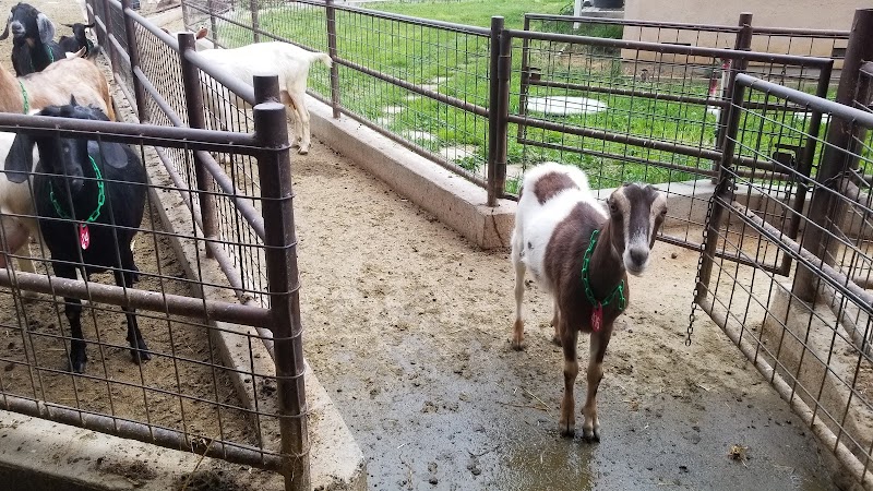 SkyHill Farm photo 4