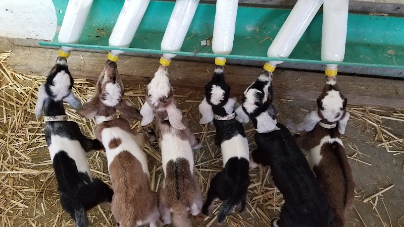 SkyHill Farm photo 5