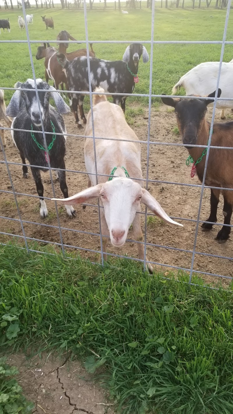 SkyHill Farm photo 3