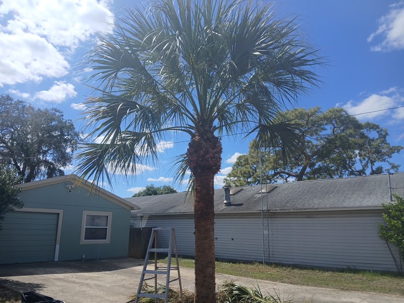 Time to shine lawn maintenance and more photo 3