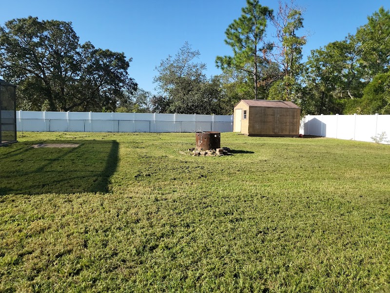 Time to shine lawn maintenance and more photo 4