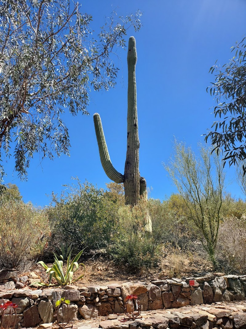 Wallace Desert Garden photo 5