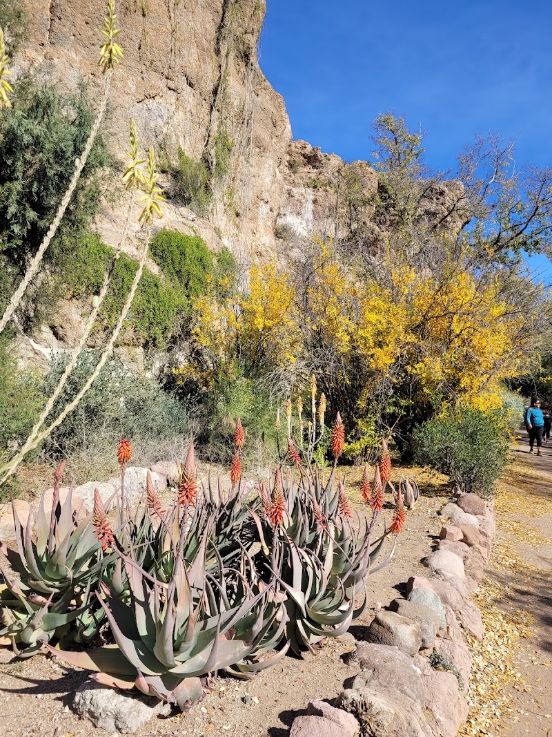 Wallace Desert Garden photo 2