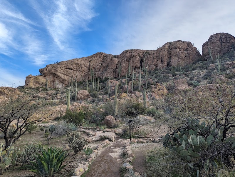 Wallace Desert Garden photo 3