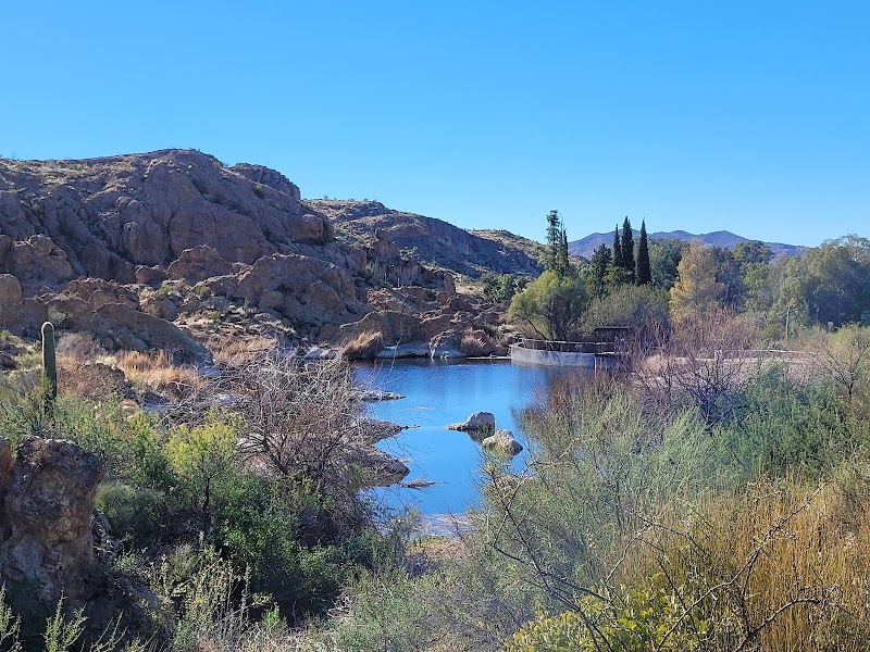 Wallace Desert Garden photo 4
