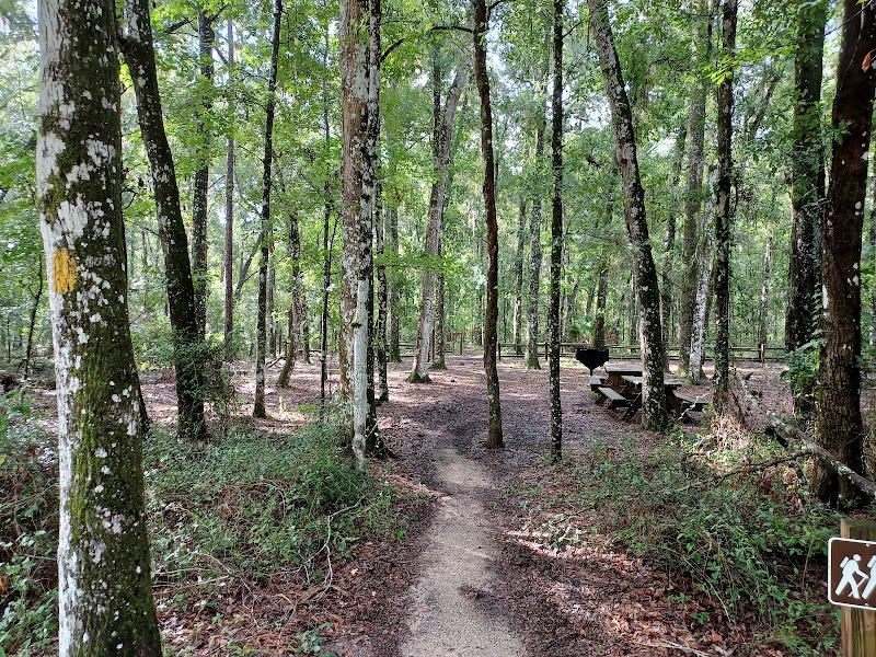 Photo of Withlacoochee State Forest - Tucker Hill Day Use Area