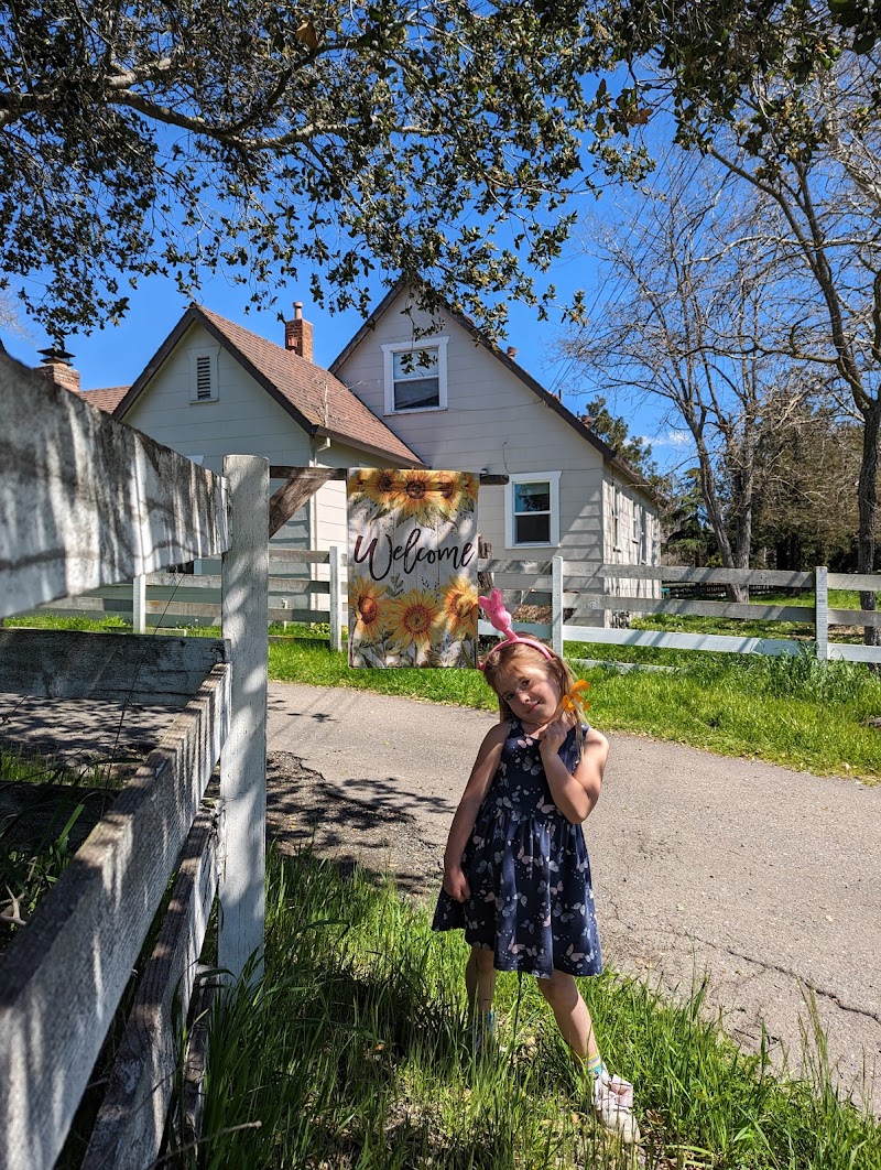 magical mindset preschool photo 3