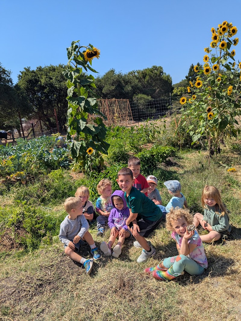 Photo of magical mindset preschool