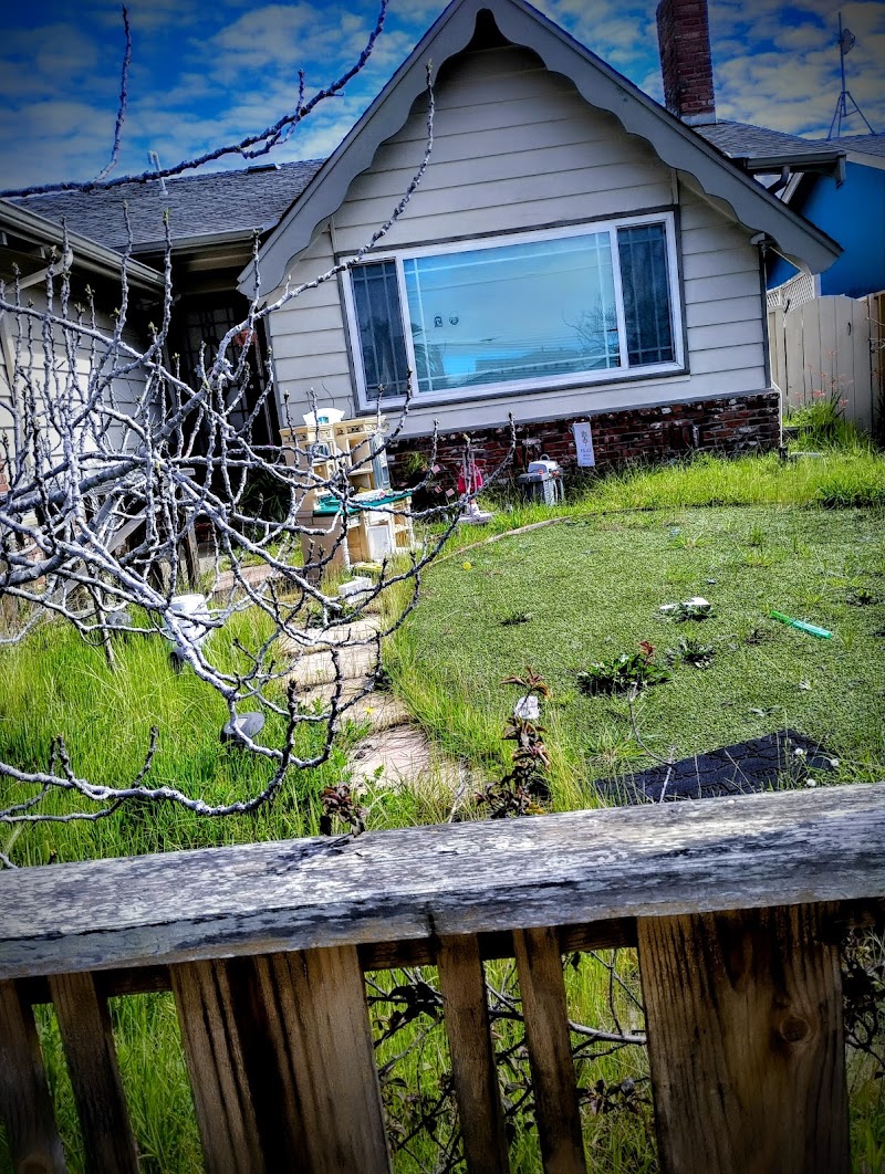 Photo of Michaela's Mansion
