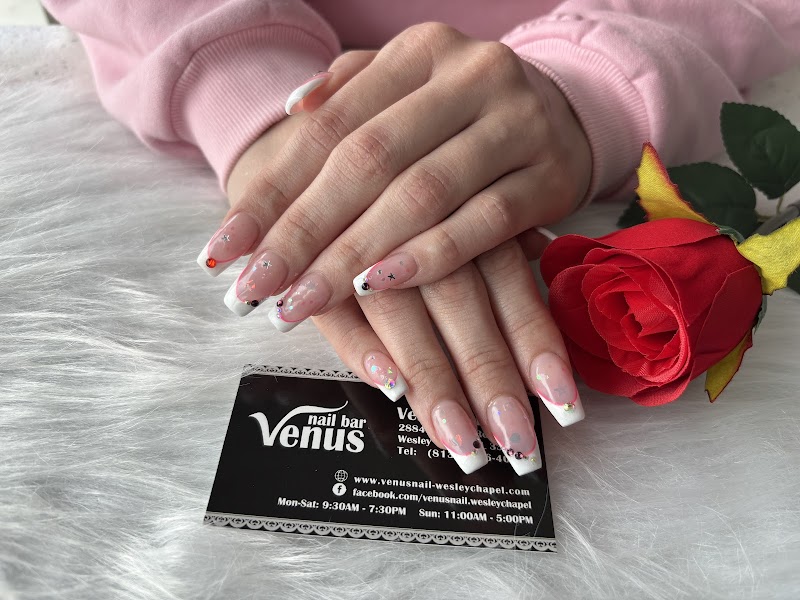 Venus Nail Bar Wesley Chapel photo 2