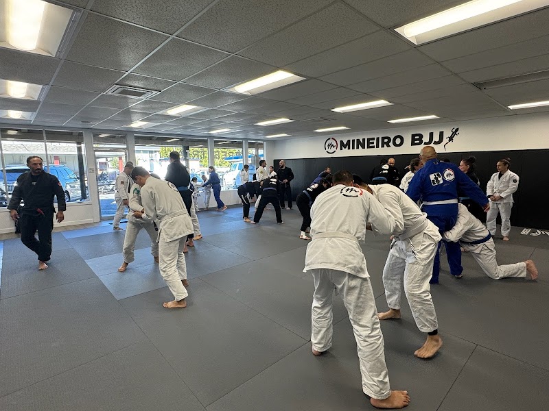 Photo of Mineiro Brazilian Jiu Jitsu - Alamo